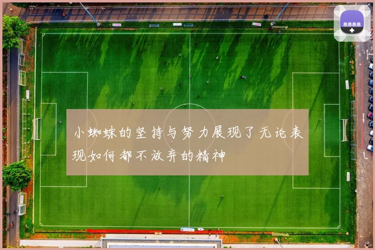 小蜘蛛的坚持与努力展现了无论表现如何都不放弃的精神