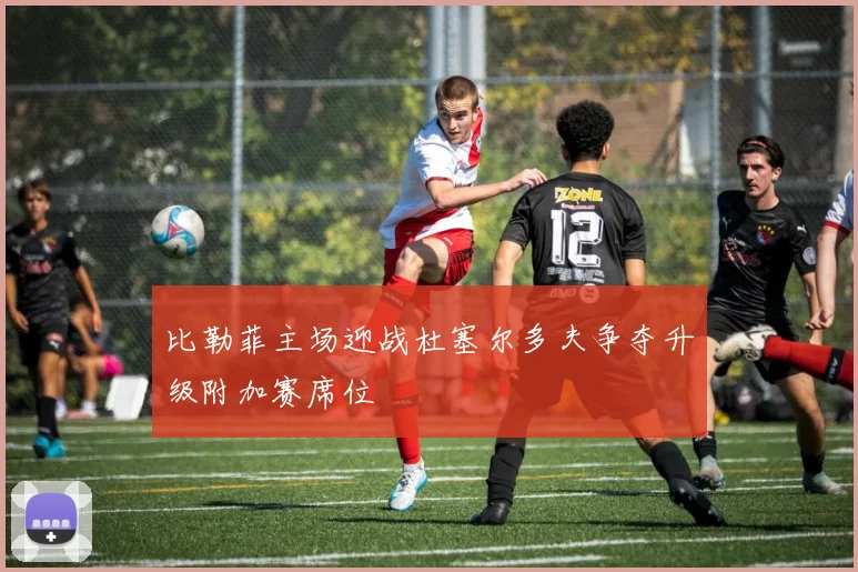 比勒菲主场迎战杜塞尔多夫争夺升级附加赛席位